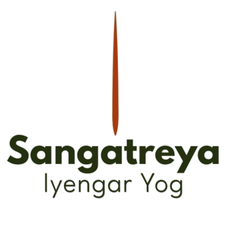 Iyengar Yog