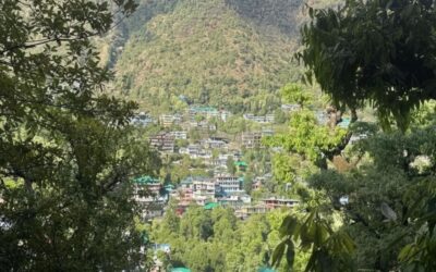 7 Reasons to Choose Iyengar Yoga in Dharamkot