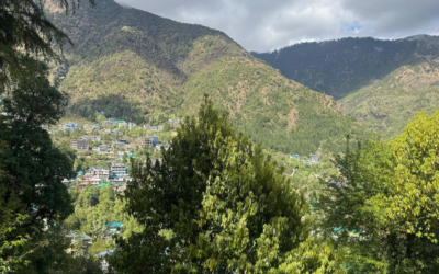 7 Reasons to Choose Iyengar Yoga in Dharamkot